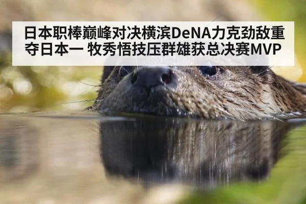 日本职棒巅峰对决横滨DeNA力克劲敌重夺日本一 牧秀悟技压群雄获总决赛MVP