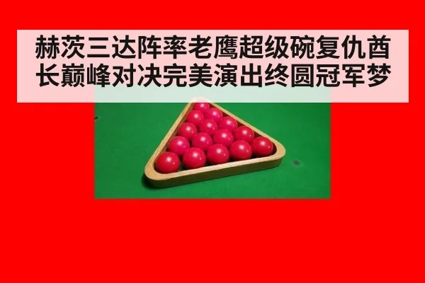 赫茨三达阵率老鹰超级碗复仇酋长巅峰对决完美演出终圆冠军梦